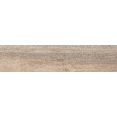 CAÑUELAS CERAMICO AGRINIO 19,8X123,1 1RA